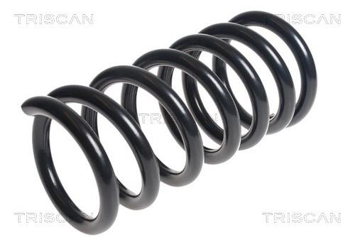 Triscan 8750 42101 Coil Spring 875042101: Buy near me in Poland at 2407.PL - Good price!