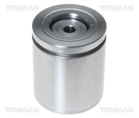 Triscan 8170 235485 Brake caliper piston 8170235485: Buy near me in Poland at 2407.PL - Good price!