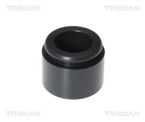 Triscan 8170 234047 Brake caliper piston 8170234047: Buy near me in Poland at 2407.PL - Good price!