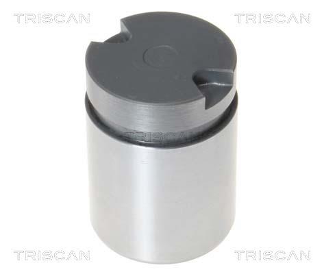 Triscan 8170 233872 Brake caliper piston 8170233872: Buy near me in Poland at 2407.PL - Good price!