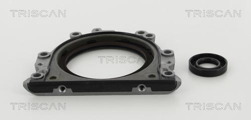 Triscan 8550 29010 Gearbox oil seal 855029010: Buy near me in Poland at 2407.PL - Good price!
