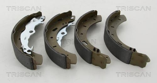 Triscan 8100 16015 Parking brake shoes 810016015: Buy near me in Poland at 2407.PL - Good price!