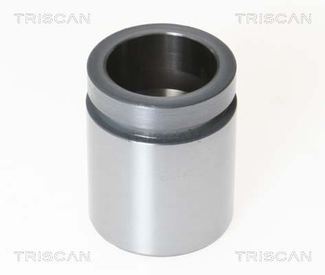 Triscan 8170 234241 Brake caliper piston 8170234241: Buy near me in Poland at 2407.PL - Good price!