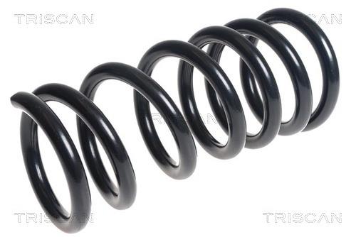 Triscan 8750 42102 Coil Spring 875042102: Buy near me in Poland at 2407.PL - Good price!
