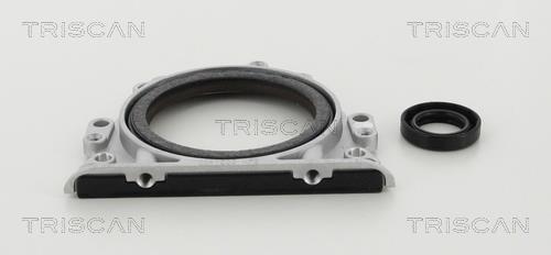 Triscan 8550 29011 Gearbox oil seal 855029011: Buy near me in Poland at 2407.PL - Good price!