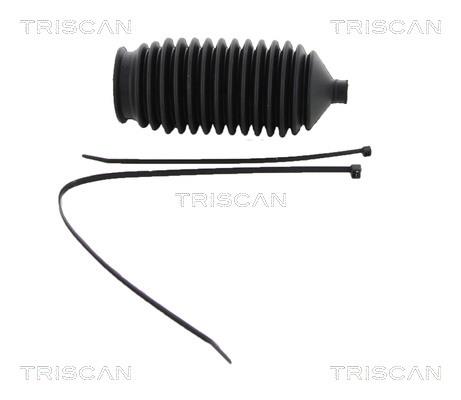 Triscan 8500 28017 Bellow kit, steering 850028017: Buy near me in Poland at 2407.PL - Good price!