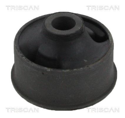 Triscan 8500 13828 Control Arm-/Trailing Arm Bush 850013828: Buy near me in Poland at 2407.PL - Good price!