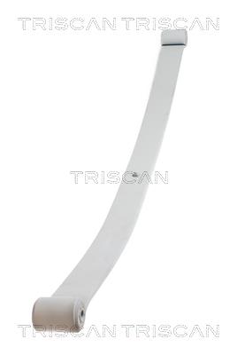Triscan 876510004 Leaf spring 876510004: Buy near me at 2407.PL in Poland at an Affordable price!