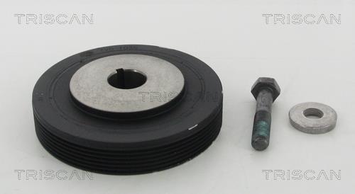 Triscan 8643 10008A Pulley crankshaft 864310008A: Buy near me in Poland at 2407.PL - Good price!