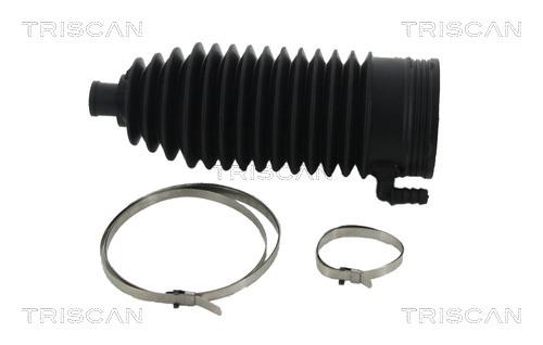 Triscan 8500 25013 Bellow kit, steering 850025013: Buy near me in Poland at 2407.PL - Good price!