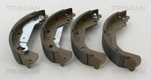 Triscan 8100 21004 Brake shoe set 810021004: Buy near me at 2407.PL in Poland at an Affordable price!