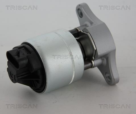 Triscan 8813 21006 Клапан рециркуляции отработанных газов EGR 881321006: Отличная цена - Купить в Польше на 2407.PL!