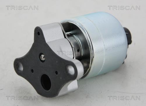 Triscan 8813 21001 Клапан рециркуляції відпрацьованих газів EGR 881321001: Приваблива ціна - Купити у Польщі на 2407.PL!
