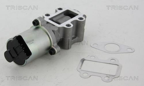 Triscan 8813 13102 EGR Valve 881313102: Buy near me at 2407.PL in Poland at an Affordable price!