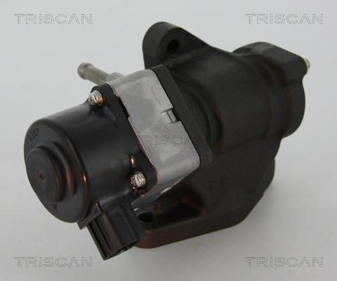 Triscan 8813 14005 Клапан рециркуляції відпрацьованих газів EGR 881314005: Приваблива ціна - Купити у Польщі на 2407.PL!