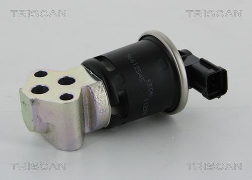 Triscan 8813 21008 Клапан рециркуляции отработанных газов EGR 881321008: Отличная цена - Купить в Польше на 2407.PL!
