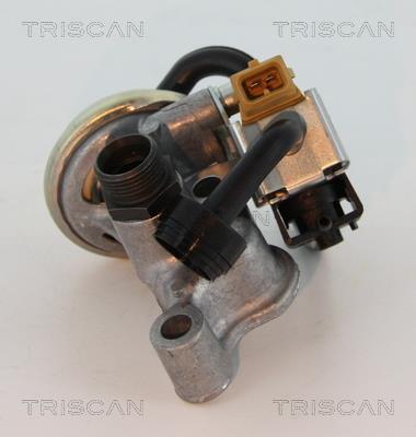 Triscan 8813 23005 Клапан рециркуляции отработанных газов EGR 881323005: Отличная цена - Купить в Польше на 2407.PL!