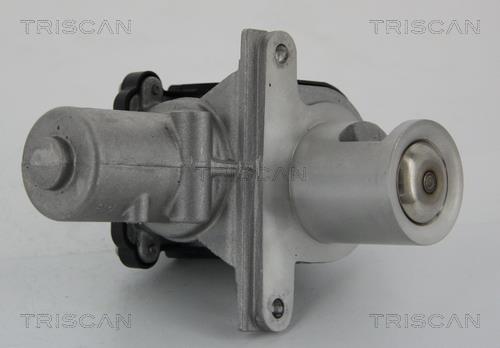 Triscan 8813 25036 Клапан рециркуляції відпрацьованих газів EGR 881325036: Приваблива ціна - Купити у Польщі на 2407.PL!