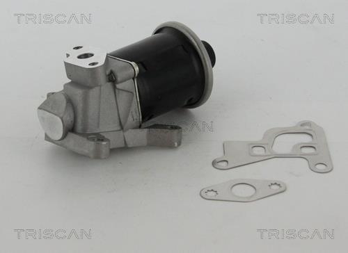 Triscan 8813 29100 EGR Valve 881329100: Buy near me at 2407.PL in Poland at an Affordable price!