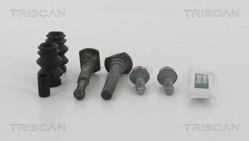Triscan 8170 169153 Repair Kit, brake caliper guide 8170169153: Buy near me in Poland at 2407.PL - Good price!