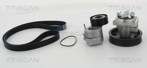 Triscan 8642 100502 Drive belt kit 8642100502: Buy near me in Poland at 2407.PL - Good price!
