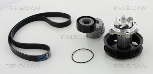 Triscan 8642100501 Drive belt kit 8642100501: Buy near me in Poland at 2407.PL - Good price!