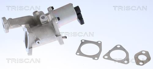 Triscan 8813 24022 EGR Valve 881324022: Buy near me in Poland at 2407.PL - Good price!