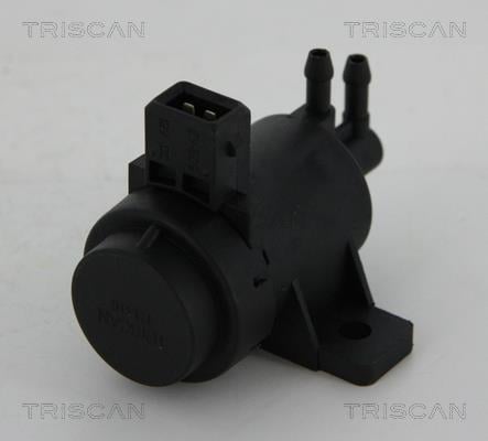 Triscan 8813 25021 Клапан управления рециркуляцией отработанных газов 881325021: Отличная цена - Купить в Польше на 2407.PL!