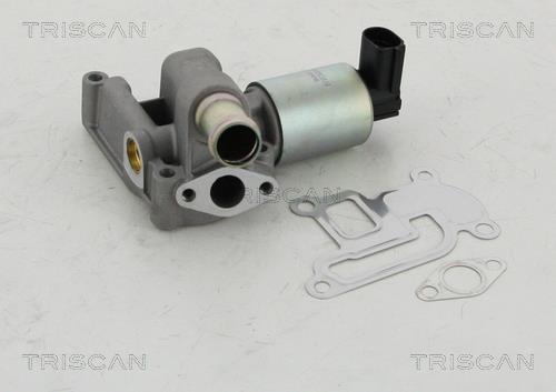 Triscan 8813 24003 EGR Valve 881324003: Buy near me at 2407.PL in Poland at an Affordable price!