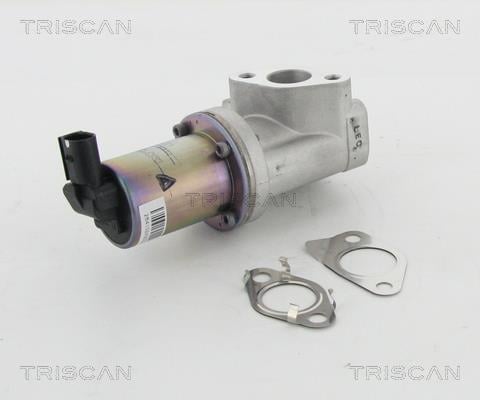Triscan 8813 43021 EGR Valve 881343021: Buy near me at 2407.PL in Poland at an Affordable price!