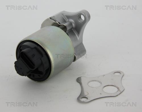 Triscan 8813 24081 EGR Valve 881324081: Buy near me at 2407.PL in Poland at an Affordable price!