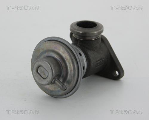 Triscan 8813 28014 EGR Valve 881328014: Buy near me at 2407.PL in Poland at an Affordable price!