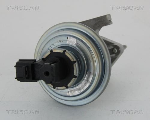 881316045 Triscan AGR-Ventil