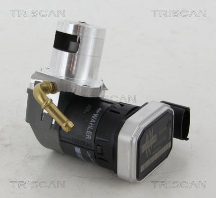 Triscan 8813 24046 Клапан рециркуляции отработанных газов EGR 881324046: Отличная цена - Купить в Польше на 2407.PL!