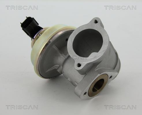 Triscan 8813 16102 EGR Valve 881316102: Buy near me at 2407.PL in Poland at an Affordable price!