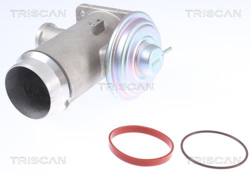 Triscan 8813 11102 Клапан рециркуляции отработанных газов EGR 881311102: Отличная цена - Купить в Польше на 2407.PL!
