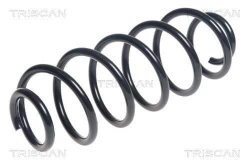 Triscan 8750 28263 Coil Spring 875028263: Buy near me in Poland at 2407.PL - Good price!