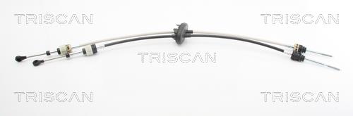 Triscan 8140 23708 Gearbox cable 814023708: Buy near me in Poland at 2407.PL - Good price!