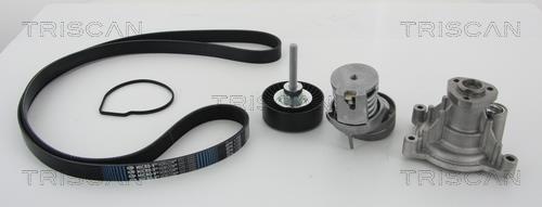 Triscan 8642 290500 Drive belt kit 8642290500: Buy near me in Poland at 2407.PL - Good price!