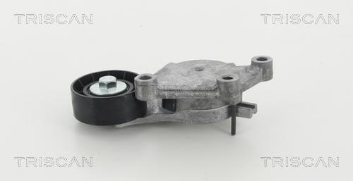 Triscan 8641 273006 V-ribbed belt tensioner (drive) roller 8641273006: Buy near me in Poland at 2407.PL - Good price!