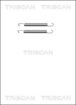 Triscan 8105 652161 Комплект монтажний гальмівних колодок 8105652161: Приваблива ціна - Купити у Польщі на 2407.PL!