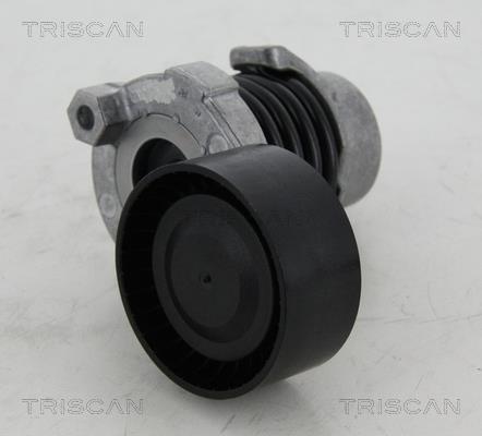 Triscan 8641 253012 Belt tightener 8641253012: Buy near me at 2407.PL in Poland at an Affordable price!