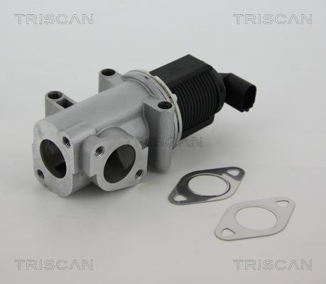 Triscan 8813 10015 EGR Valve 881310015: Buy near me at 2407.PL in Poland at an Affordable price!
