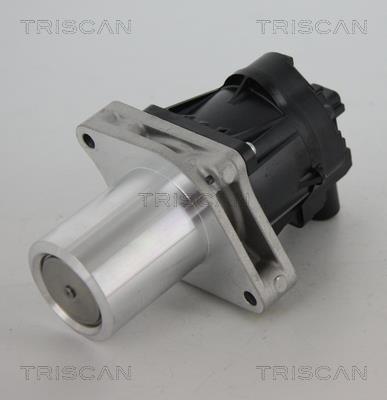 Triscan 8813 24205 EGR Valve 881324205: Buy near me at 2407.PL in Poland at an Affordable price!