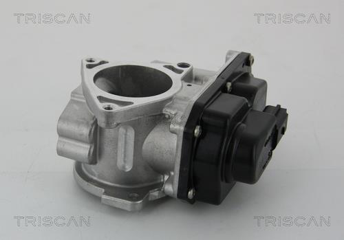 Triscan 8813 29003 Клапан рециркуляции отработанных газов EGR 881329003: Отличная цена - Купить в Польше на 2407.PL!