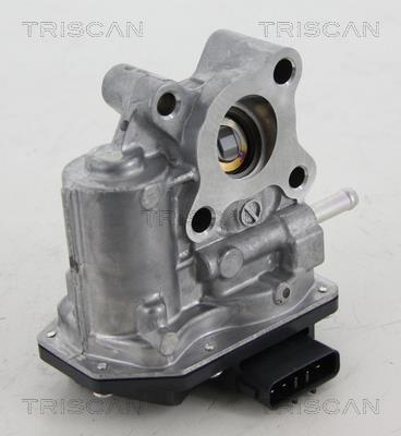 Triscan 8813 13200 EGR Valve 881313200: Buy near me at 2407.PL in Poland at an Affordable price!