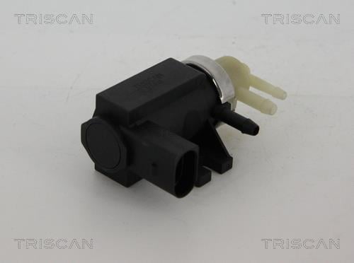 Triscan 8813 29104 Exhaust gas recirculation control valve 881329104: Buy near me in Poland at 2407.PL - Good price!