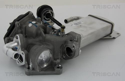 Triscan 8813 29303 EGR Valve 881329303: Buy near me in Poland at 2407.PL - Good price!