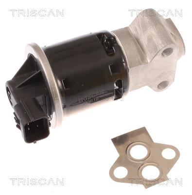 Triscan 8813 21100 EGR Valve 881321100: Buy near me at 2407.PL in Poland at an Affordable price!