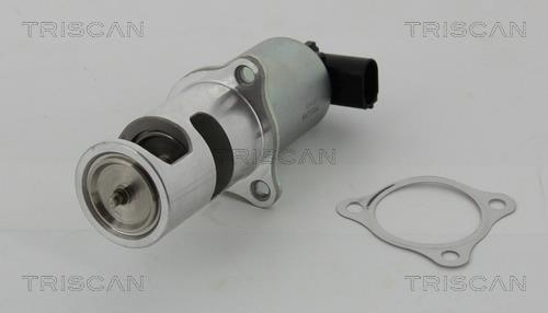 Triscan 8813 24037 EGR Valve 881324037: Buy near me at 2407.PL in Poland at an Affordable price!
